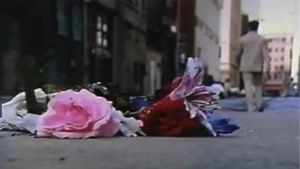 The Man Who Loved Flowers's poster