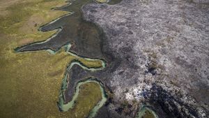 Into the Okavango's poster