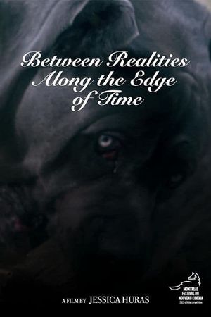 Between Realities Along the Edge of Time's poster