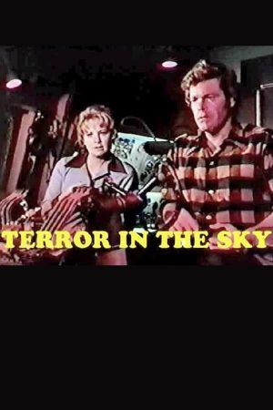 Terror in the Sky's poster