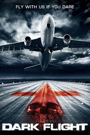 407 Dark Flight 3D's poster
