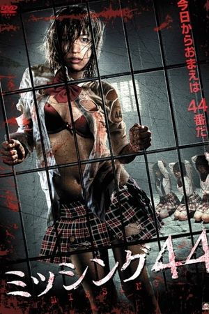 Missing 44's poster