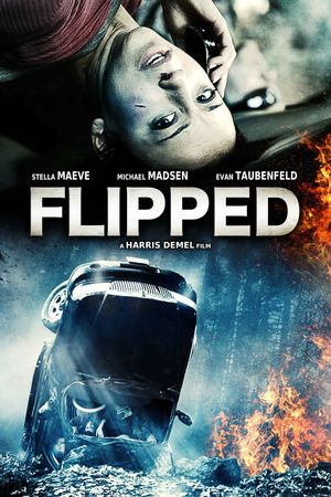 Flipped's poster