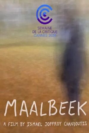 Maalbeek's poster