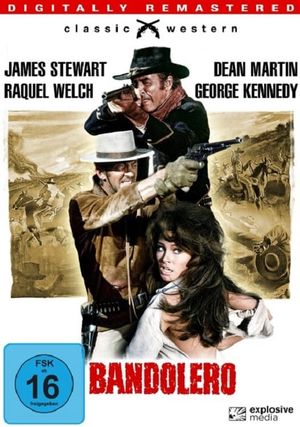 Bandolero!'s poster