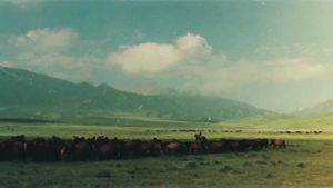 The Herdsman's poster