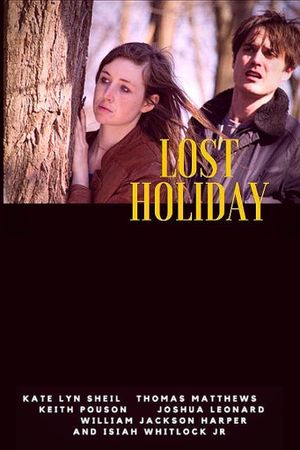 Lost Holiday's poster