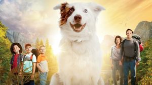 The Stray's poster