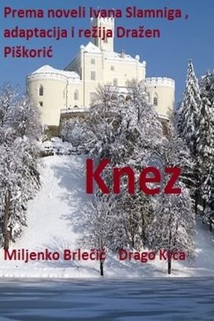 Knez's poster