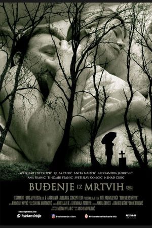 Awakening from the Dead's poster