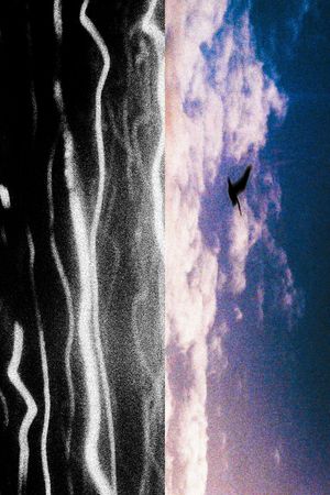 City with Dreams of the Sea's poster