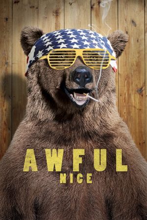 Awful Nice's poster