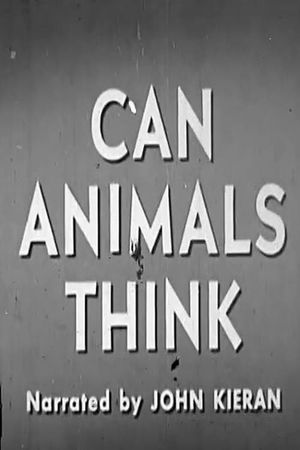 Can Animals Think's poster