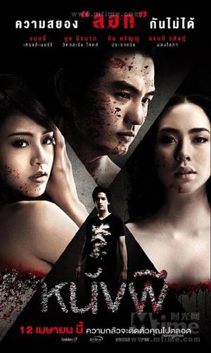 The Cinderella's poster