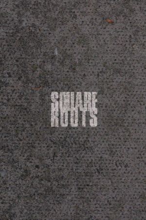 Square Roots's poster