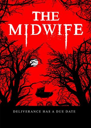 The Midwife's poster