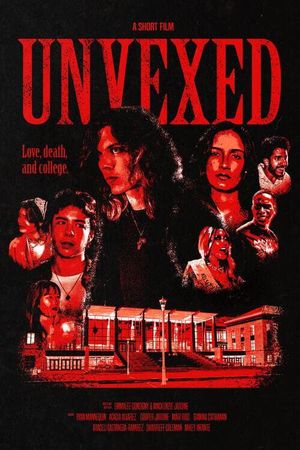 Unvexed's poster