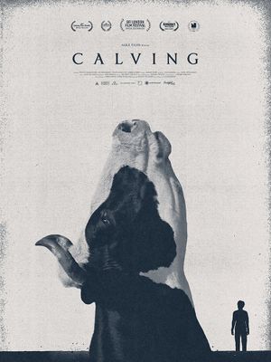 Calving's poster