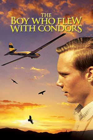 The Boy Who Flew with Condors's poster