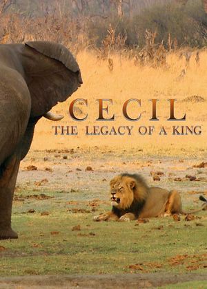 Cecil: The Legacy of a King's poster