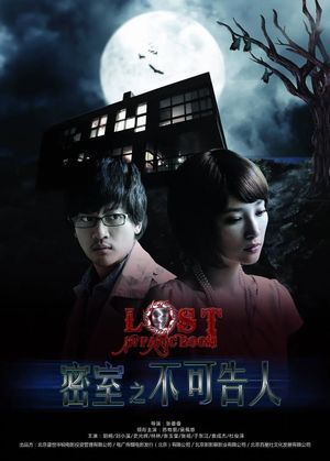 Lost in Panic Room's poster