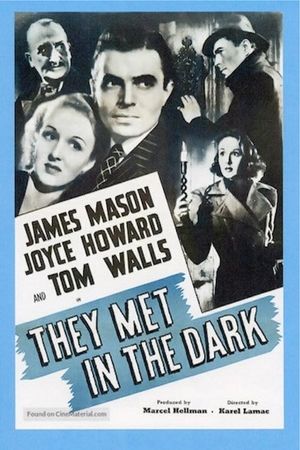 They Met in the Dark's poster