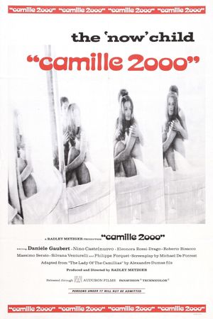 Camille 2000's poster