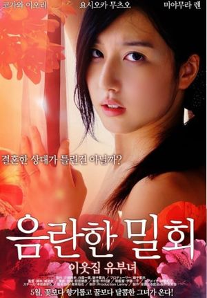 Meeting in Secret's poster