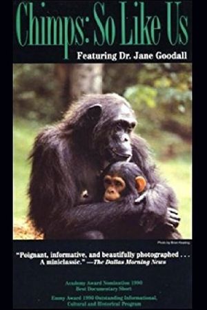 Chimps: So Like Us's poster