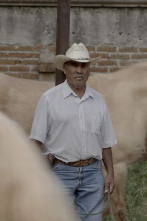 Caballerango's poster