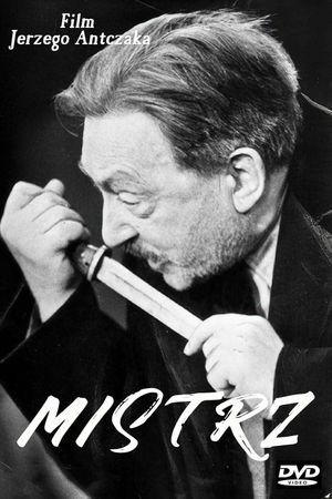 Master's poster