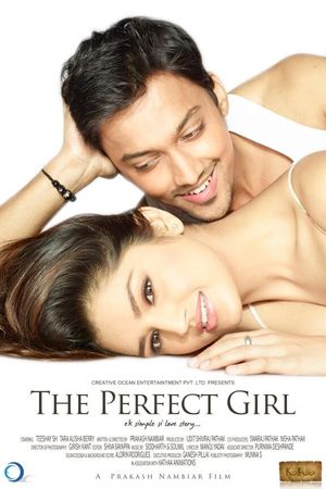 The Perfect Girl's poster image