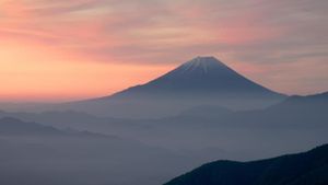 Japon, un nouveau monde sauvage's poster