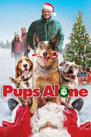 Pups Alone's poster