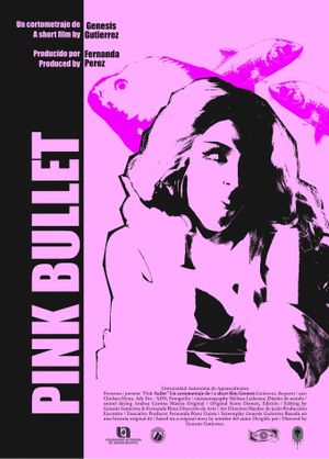 Pink Bullet's poster