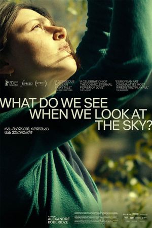 What Do We See When We Look at the Sky?'s poster