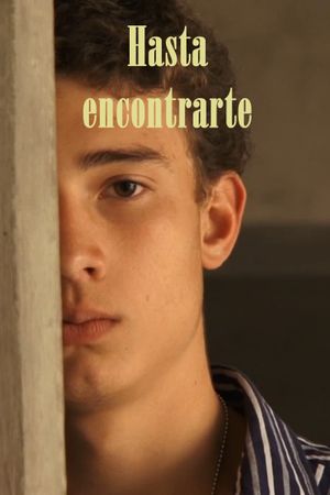 Hasta encontrarte's poster