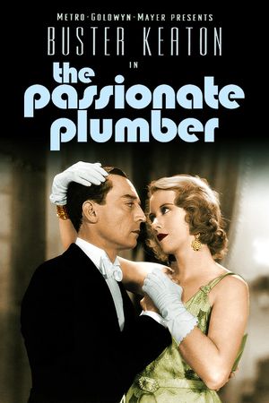 The Passionate Plumber's poster