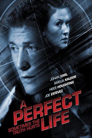 A Perfect Life's poster