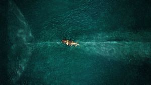 In the Heart of the Sea's poster