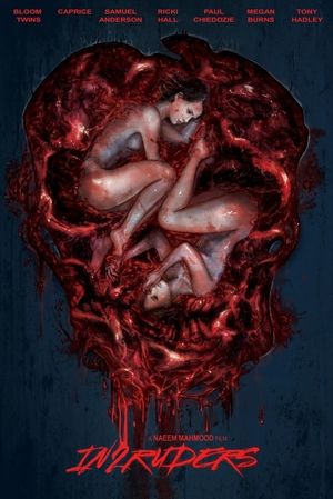 In2ruders's poster