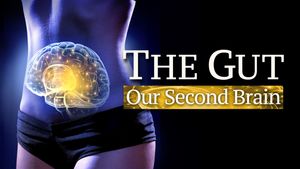 The Gut: Our Second Brain's poster