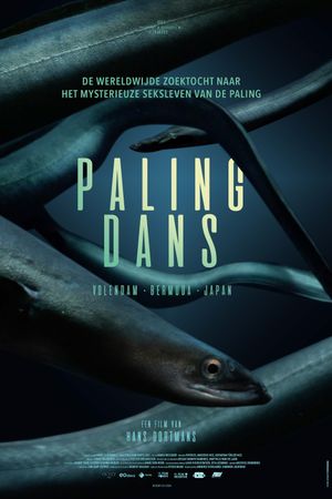 Palingdans's poster