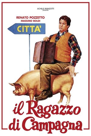 Il ragazzo di campagna's poster