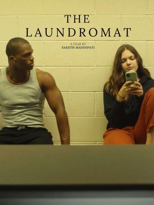 The Laundromat's poster image