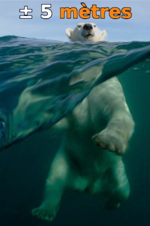 ± 5 Meters From the Surface of the Oceans's poster