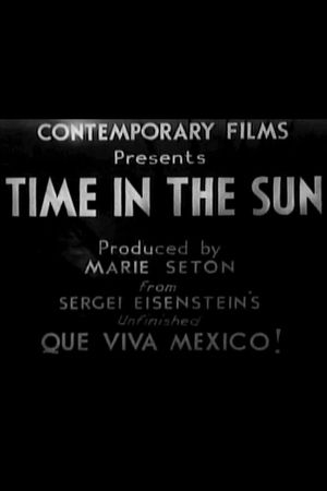 Time in the Sun's poster