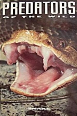 Predators of the Wild: Snake's poster