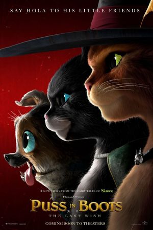Puss in Boots: The Last Wish's poster