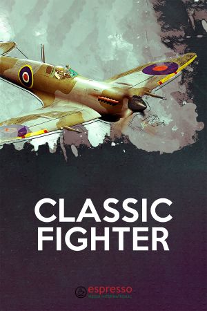 Classic Fighter's poster